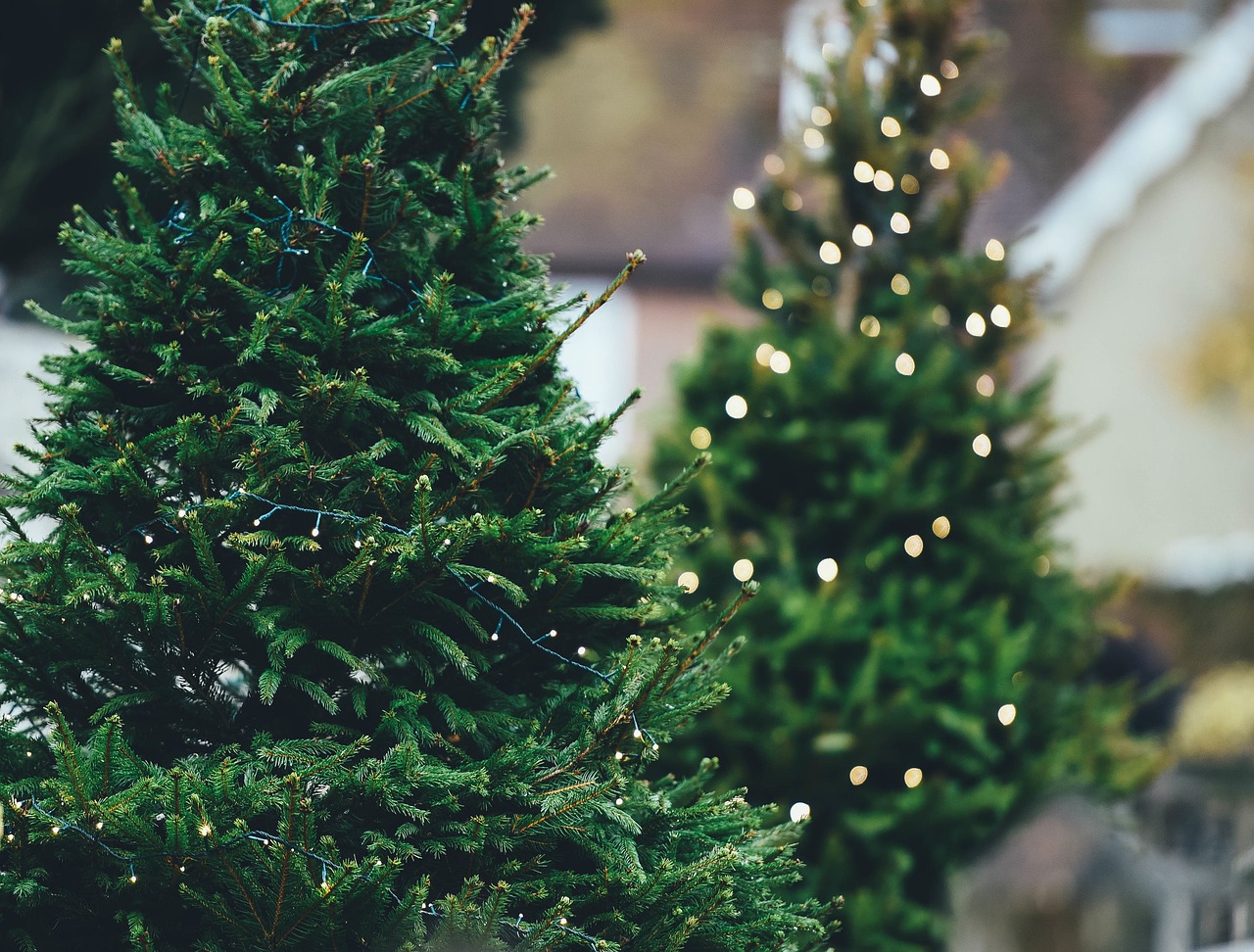 christmas tree g1475ac8f5 1280