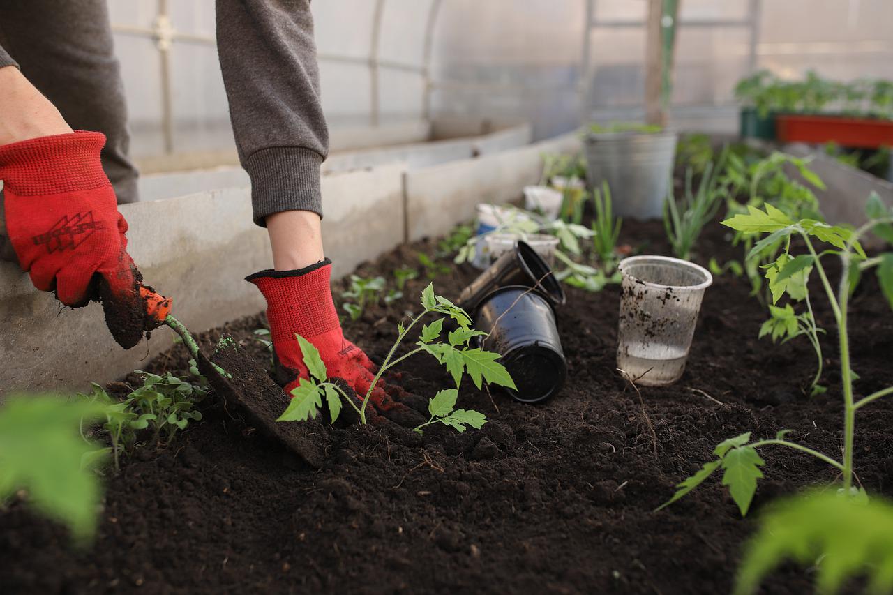 greenhouse gbc40d79d5 1280